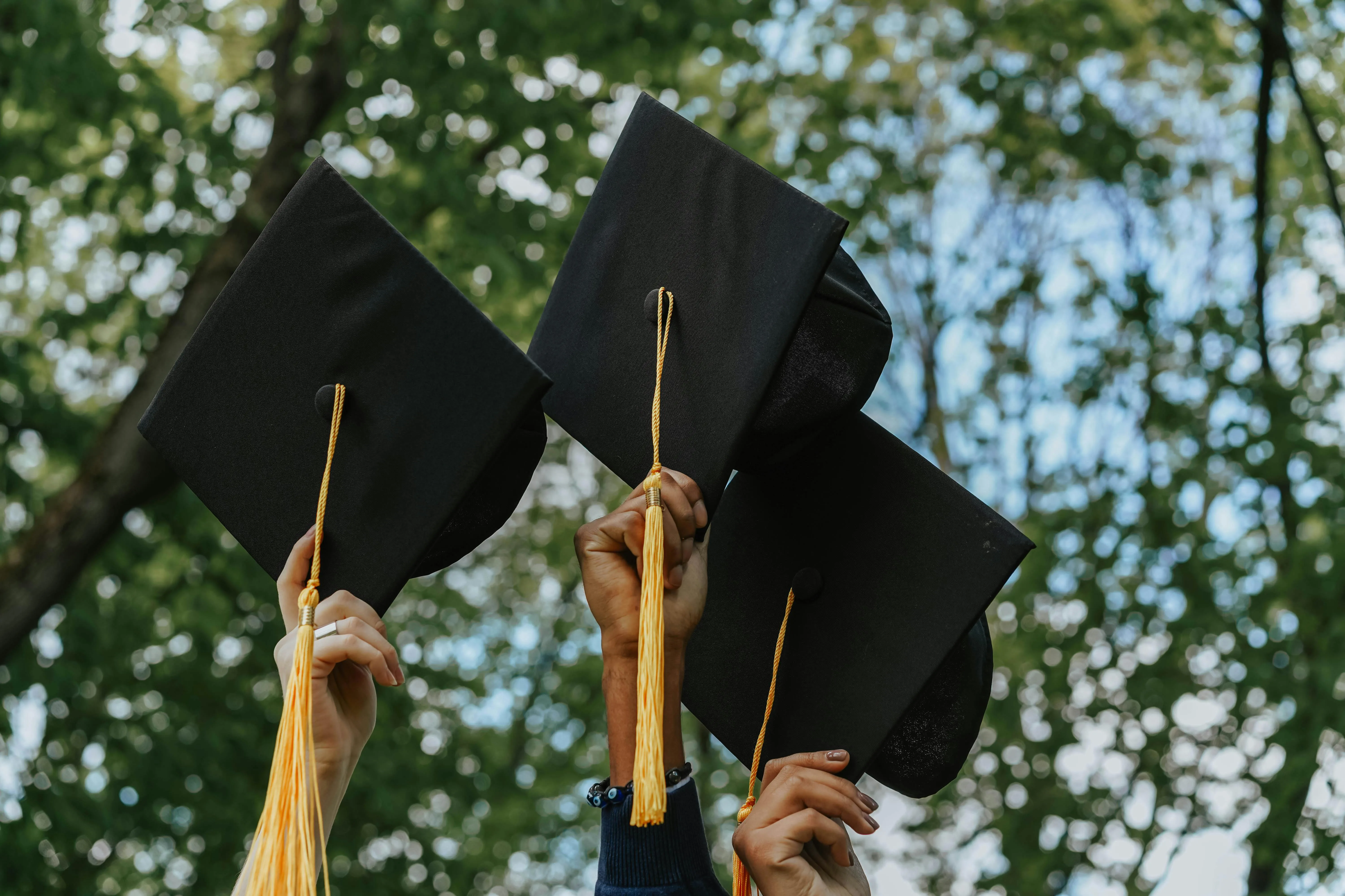Education & Academia
