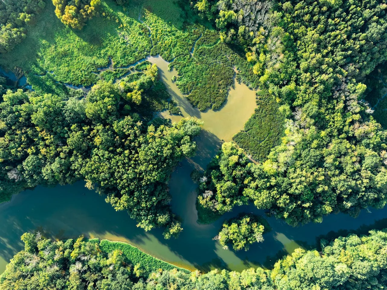 Environment & Sustainability